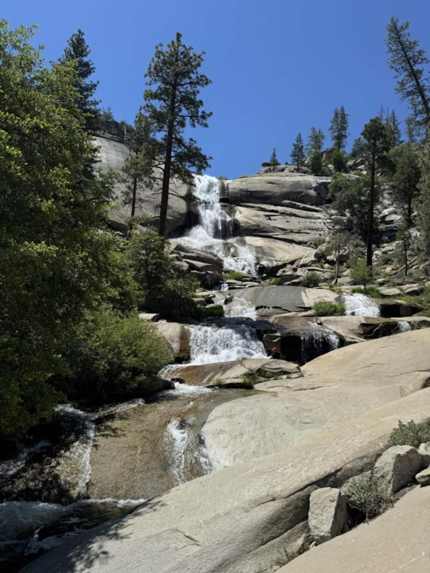 Peppermint Falls Ranch Ponderosa Exterior foto
