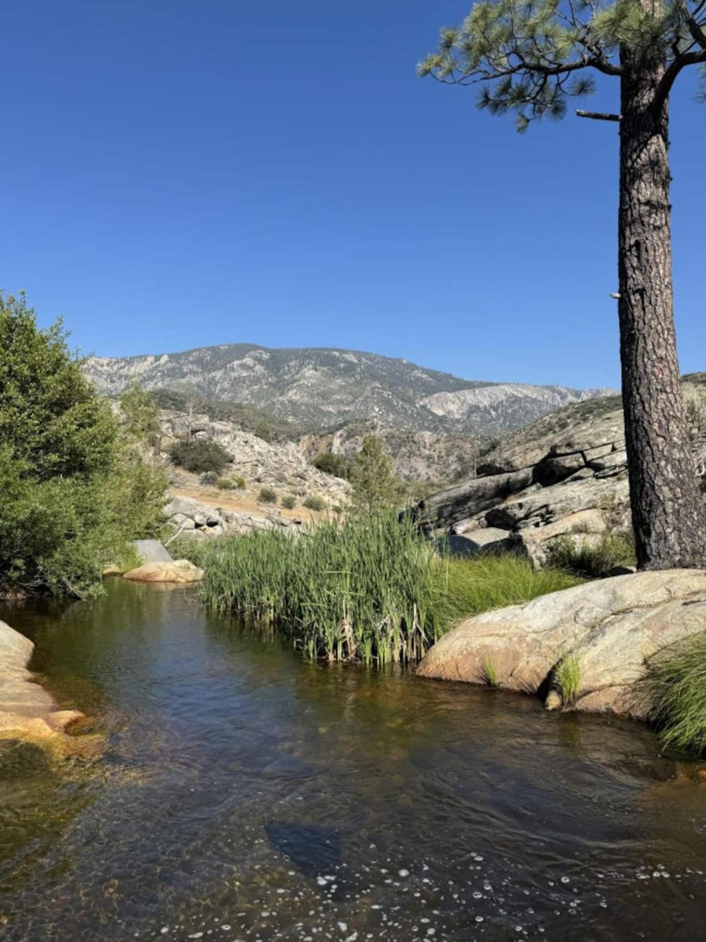 Peppermint Falls Ranch Ponderosa Exterior foto
