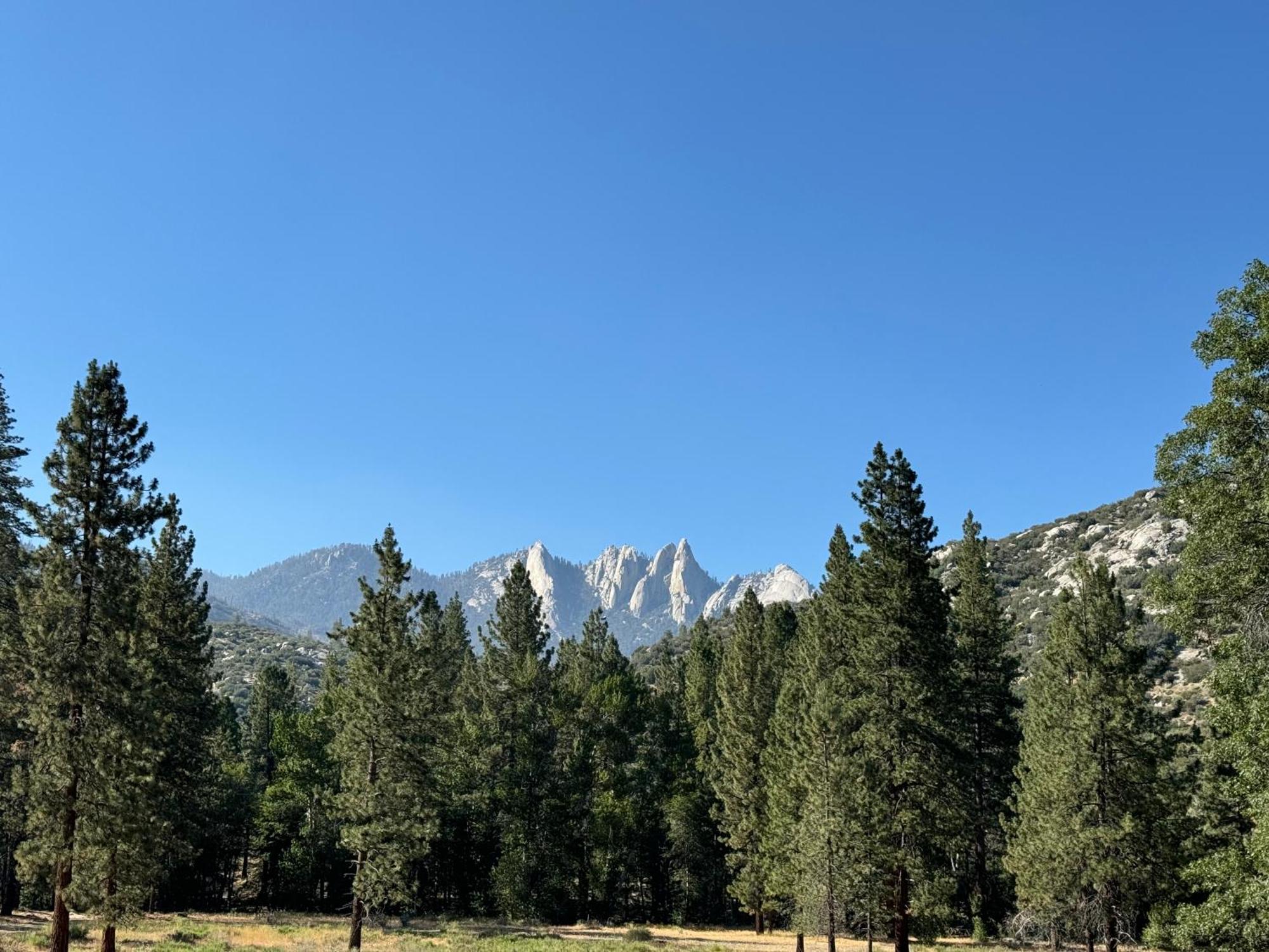 Peppermint Falls Ranch Ponderosa Exterior foto
