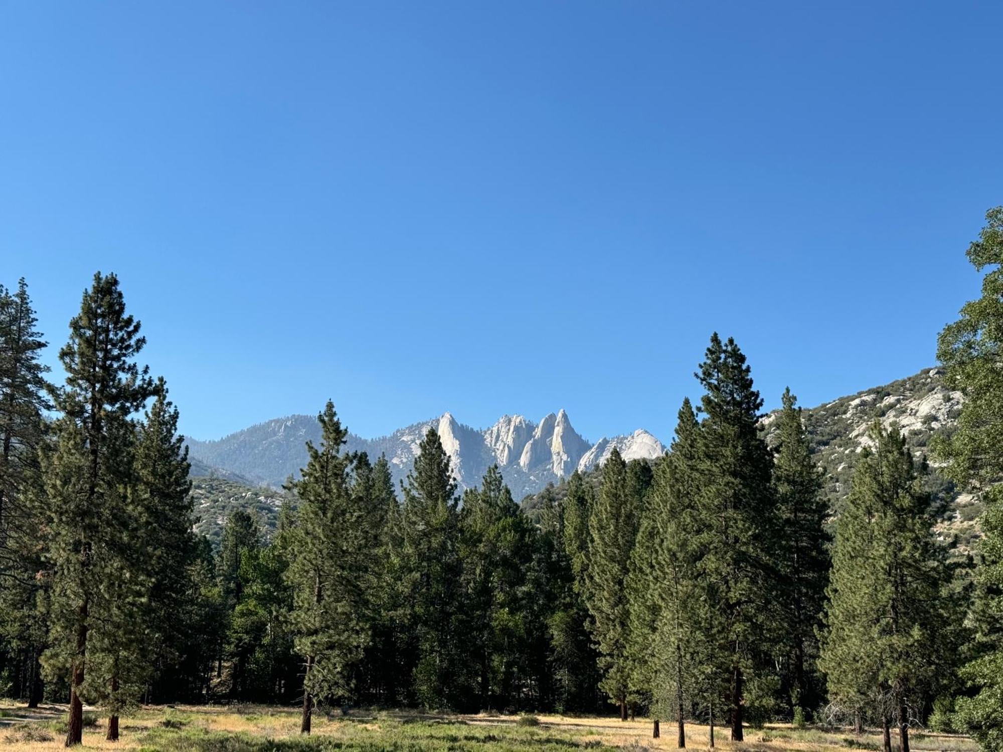 Peppermint Falls Ranch Ponderosa Exterior foto